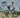 The difference between electric bicycle soft tail big fat tires driving on the mountains and beaches